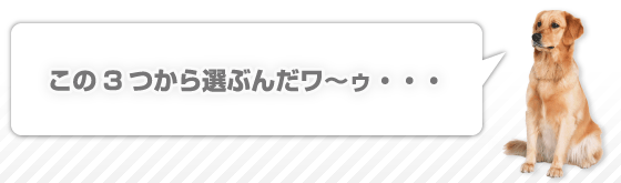 この3つから選ぶんだワ～ゥ・・・