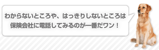 わからないところや、はっきりしないところは保険会社に電話してみるのが一番だワン！