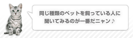 同じ種類のペットを飼っている人に聞いてみるのが一番だニャン♪