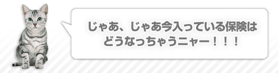 じゃあ、じゃあ今入っている保険はどうなっちゃうニャー！！！