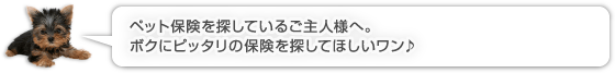 ペット保険を探しているご主人様へ。ボクにピッタリの保険を探してほしいワン♪