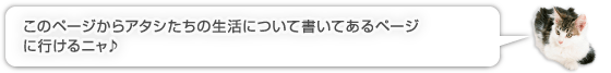 このページからアタシたちの生活について書いてあるページに行けるニャ♪