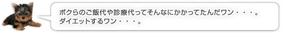 ボクらのご飯代や診療代ってそんなにかかってたんだワン・・・。ダイエットするワン・・・。