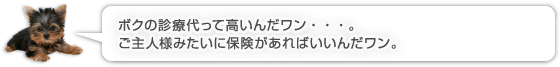 ボクの診療代って高いんだワン・・・。ご主人様みたいに保険があればいいんだワン。