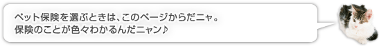 ペット保険を選ぶときは、このページからだニャ。保険のことが色々わかるんだニャン♪