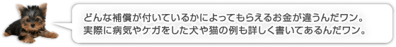 どんな補償が付いているかによってもらえるお金が違うんだワン。実際に病気やケガをした犬や猫の例も詳しく書いてあるんだワン。