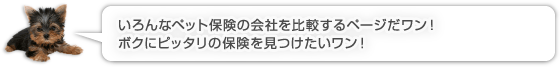 いろんなペット保険の会社を比較するページだワン！ボクにピッタリの保険を見つけたいワン！