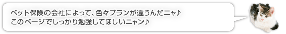 ペット保険の会社によって、色々プランが違うんだニャ♪このページでしっかり勉強してほしいニャン♪