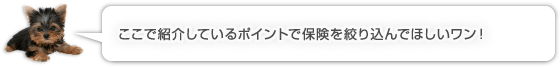 ここで紹介しているポイントで保険を絞り込んで欲しいワン！