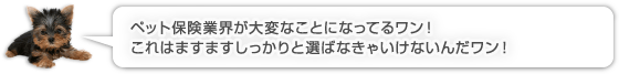 ペット保険業界が大変なことになってるワン！これはますますしっかりと選ばなきゃいけないんだワン！