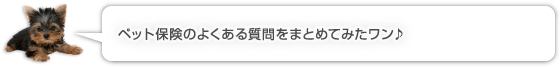 ペット保険のよくある質問をまとめてみたワン♪