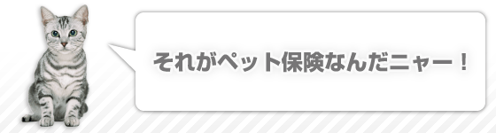 それがペット保険なんだニャー！