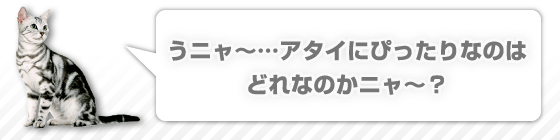 うニャ～・・・アタイにぴったりなのはどれなのかニャ～？