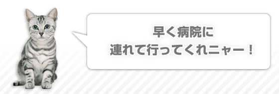 早く病院に連れて行ってくれニャー！