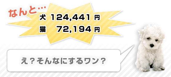 え？そんなにするワン？