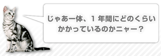 じゃあ一体、1年間にどのくらいかかっているのかニャー？