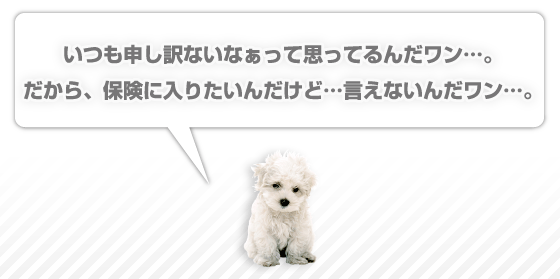 いつも申し訳ないなぁって思ってるんだワン…。だから、保険に入りたいんだけど…言えないんだワン…。